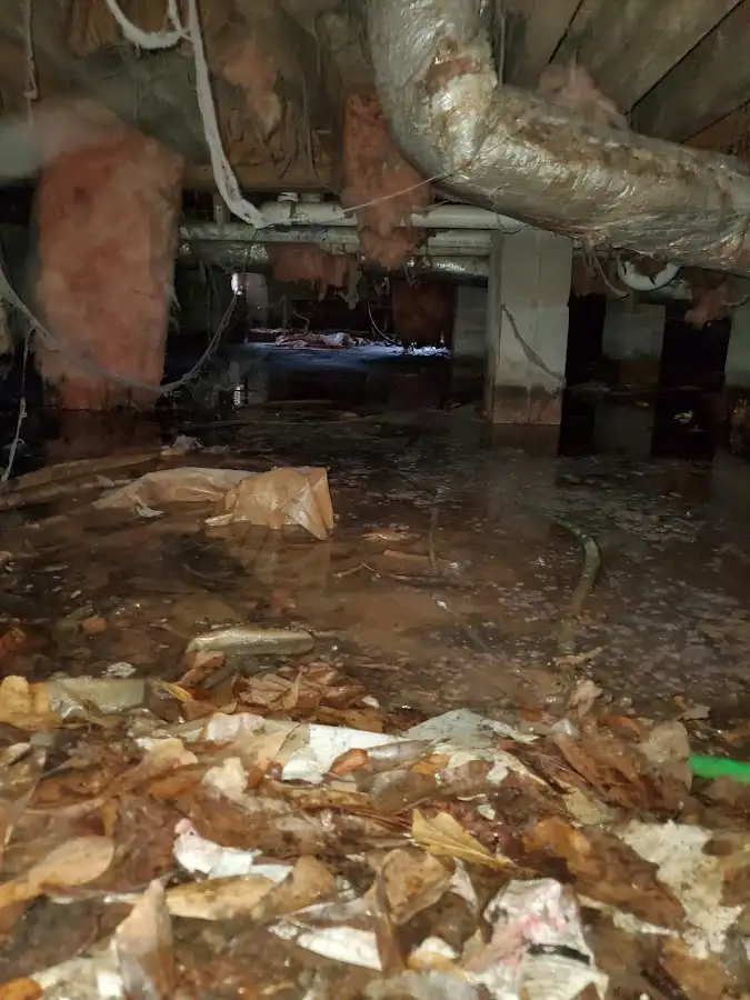 Crawl space flood assessment for Leak Detection & Repair in Palmetto