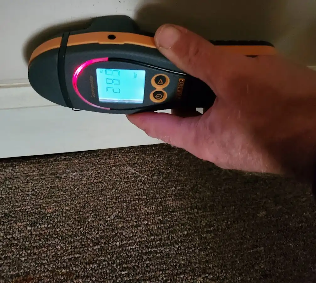 Moisture detection at baseboard during Mold Inspection & Testing in Palmetto