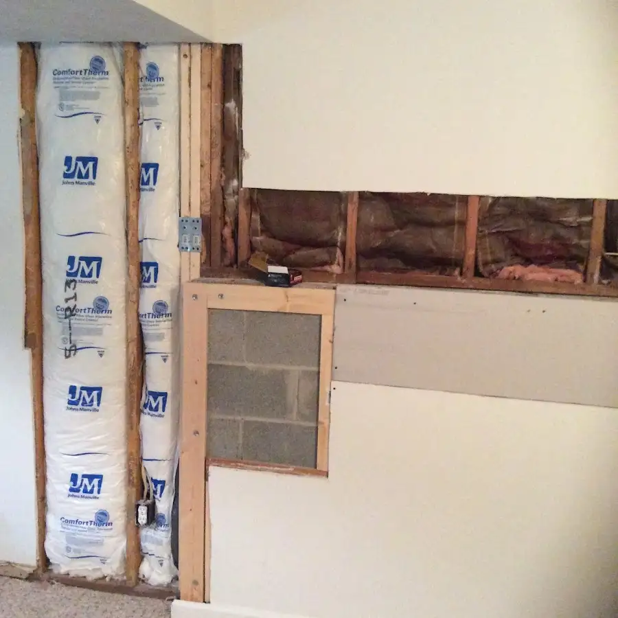 Wall insulation replacement during Odor Removal & Deodorization in Palmetto